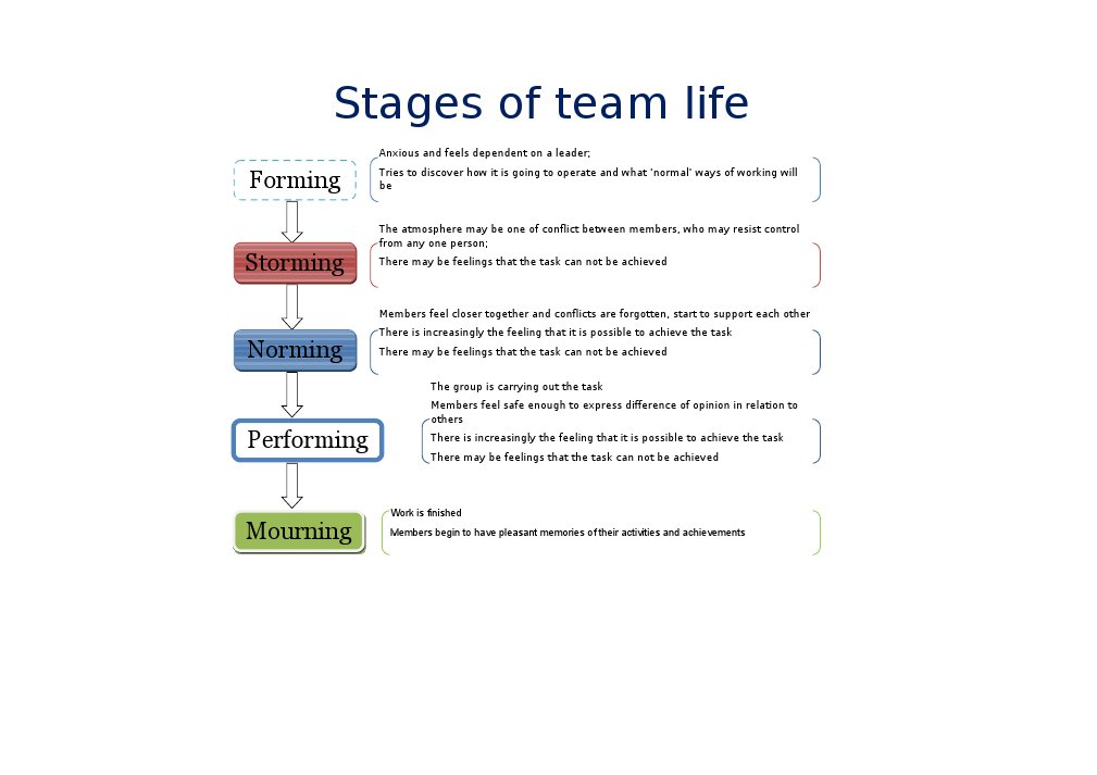 Stages of Team Life Explained | PDF