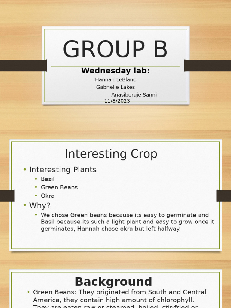 Growing Green Beans and Basil Guide | PDF | Bean | Sowing