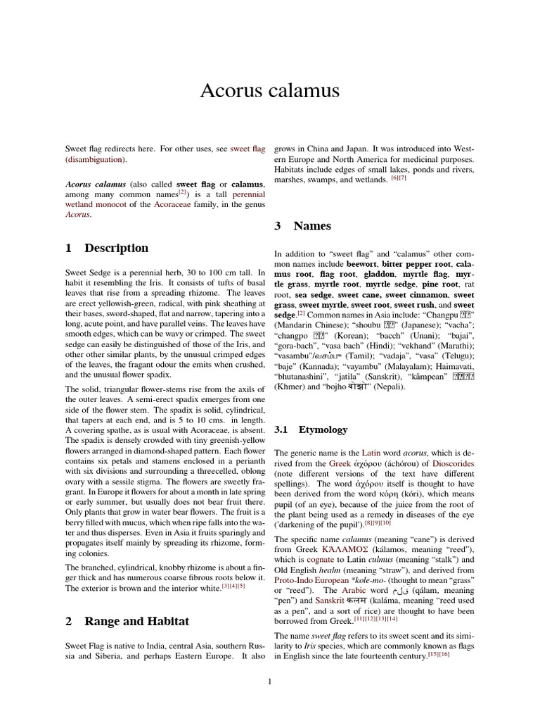 Acorus Calamus: Uses and Names | PDF