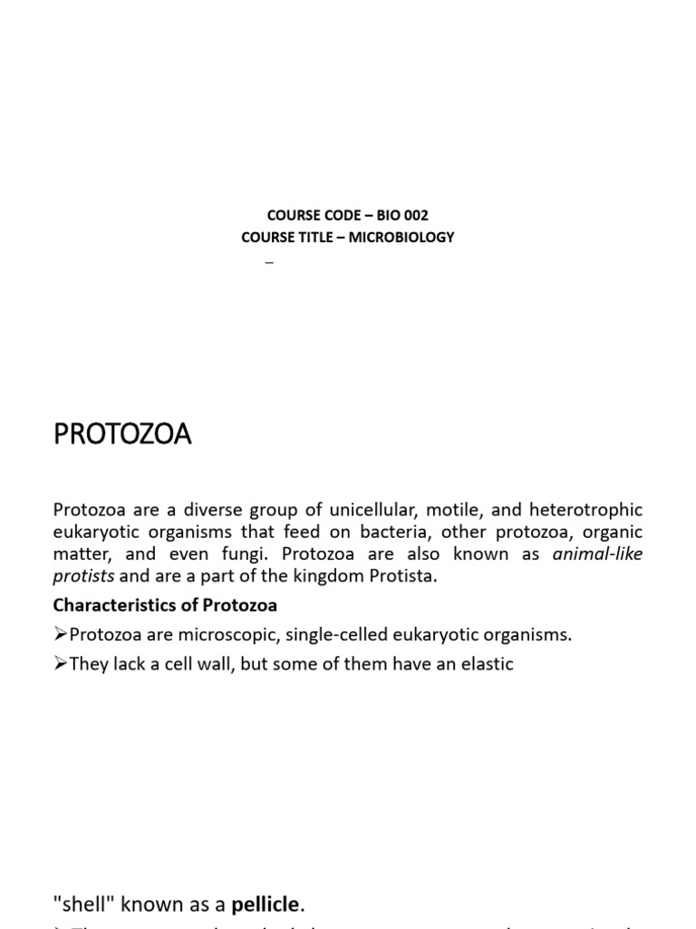 Differences Between Protozoa and Algae | PDF | Protozoa | Algae