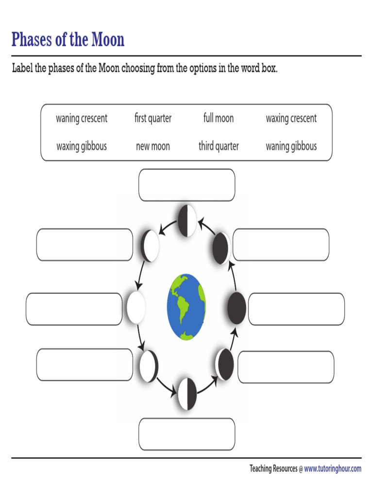Labeling | PDF
