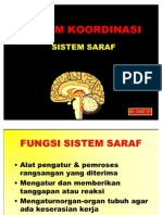 Sistem Koordinasi-Saraf