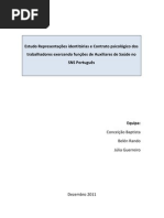 Representações identitárias e Contrato psicológico dos trabalhadores exercendo funções de Auxiliares de Saúde no SNS Português 
