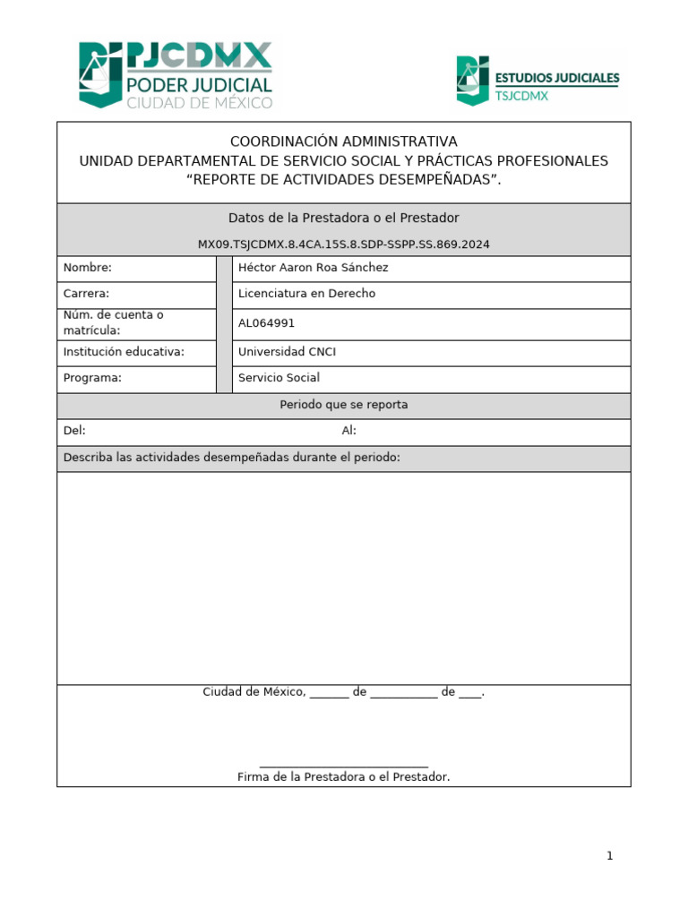 Modelo Reporte de Actividades | PDF