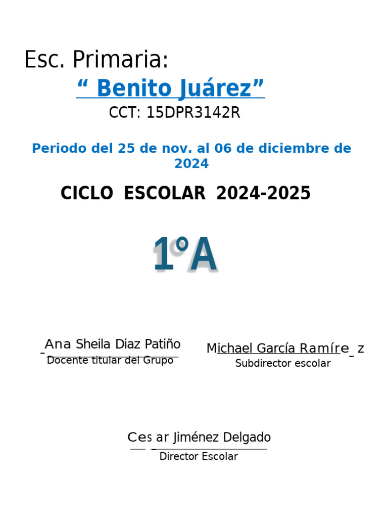 Plan de Clases: Proyectos Educativos 2024 | PDF | Evaluación | Aprendizaje
