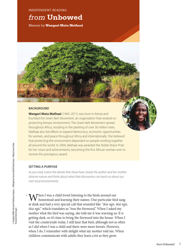 Nature's Lessons in Unbowed | PDF | Trees | Random House