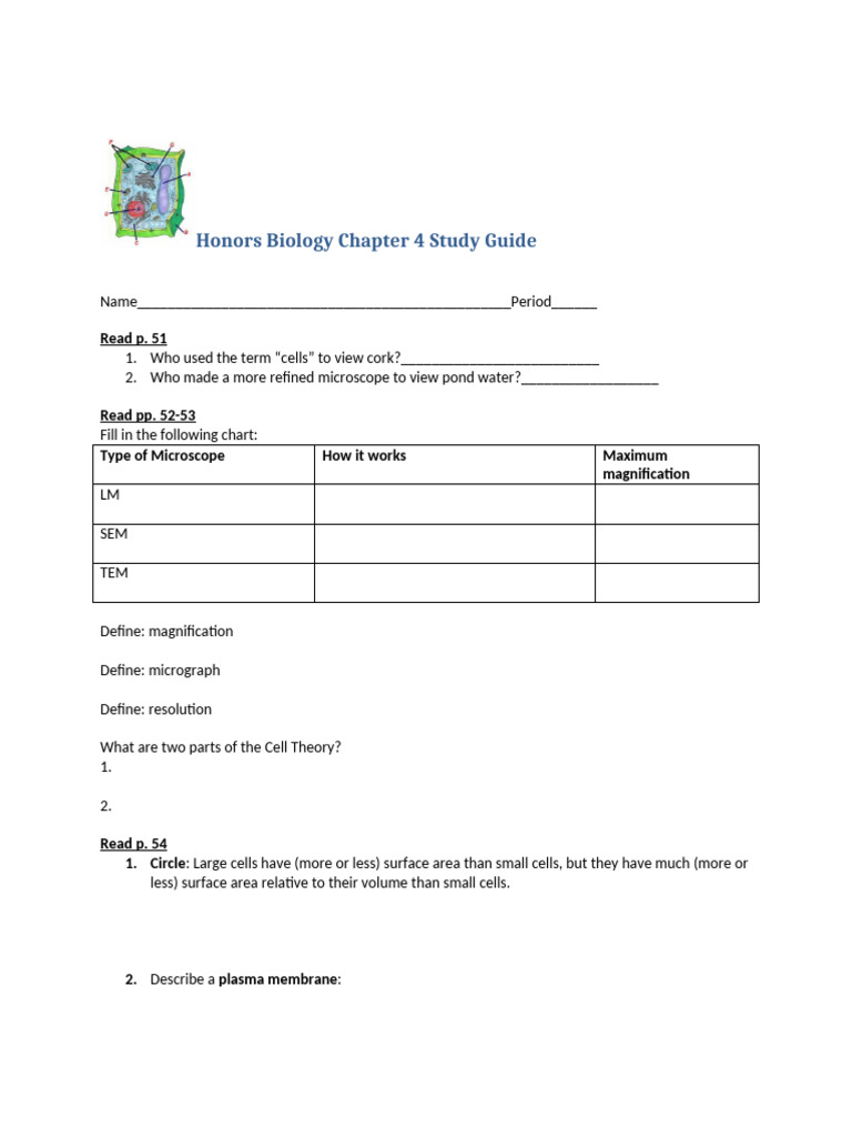 Honors Biology Chapter 4 Study Guide | PDF | Cell (Biology ...
