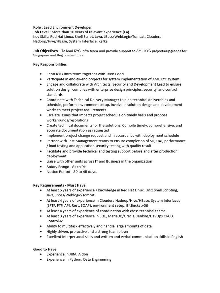 Lead Environment Developer Role | PDF