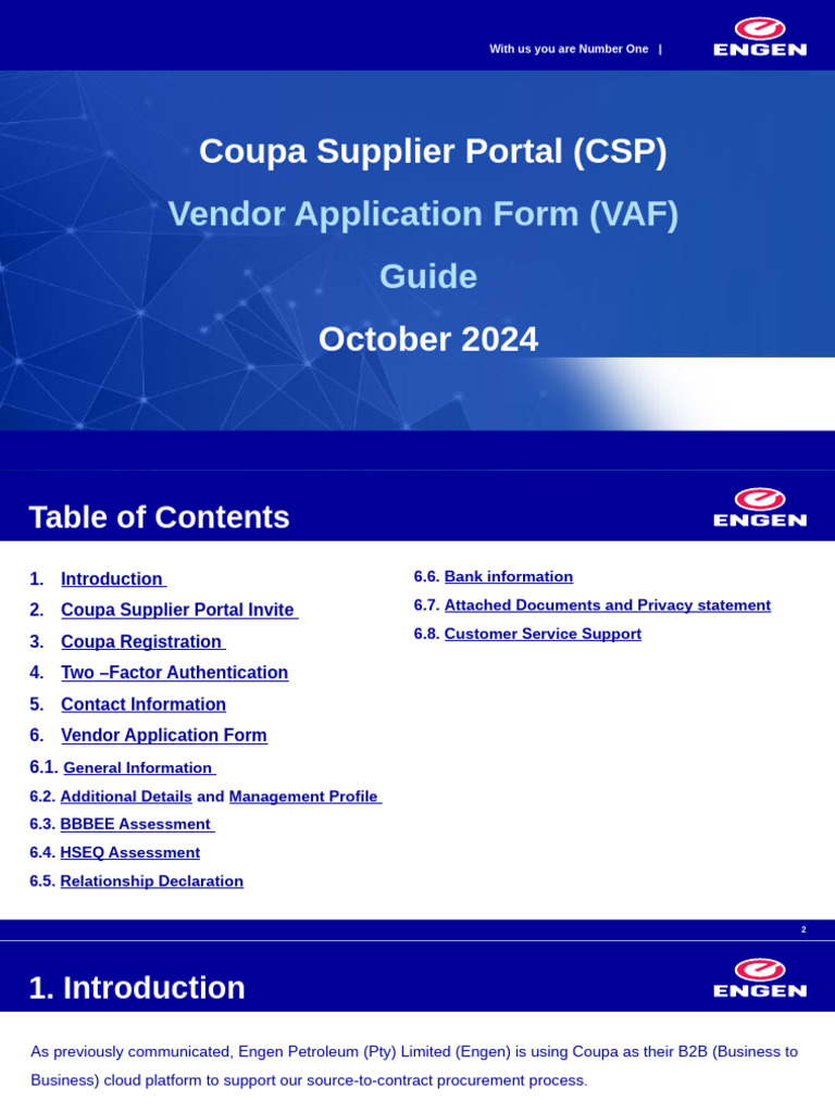 VAF User Guide October 2024 Final V1 | PDF | Computing | Information ...