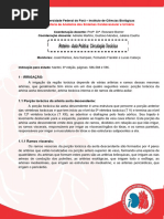 Anatomia do Sistema Venoso Ázigo | PDF | Veia | Coluna vertebral