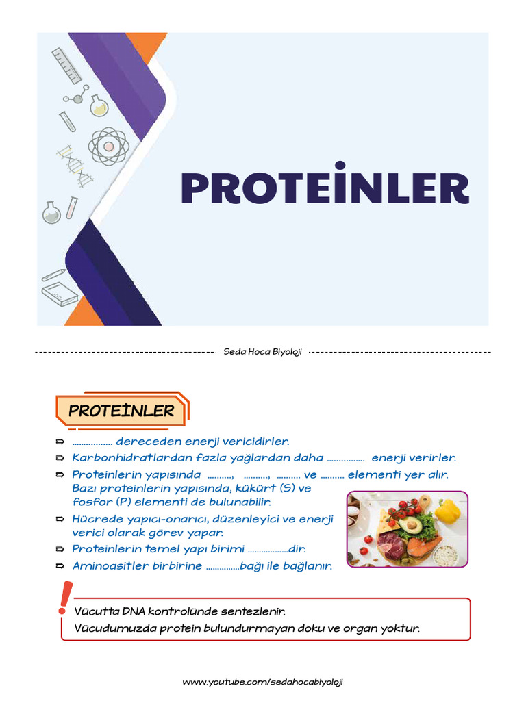 PROTEİNLER | PDF