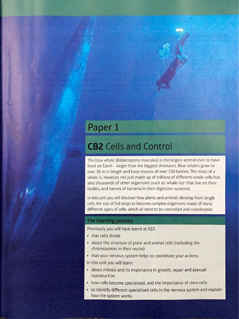 CB2 | PDF