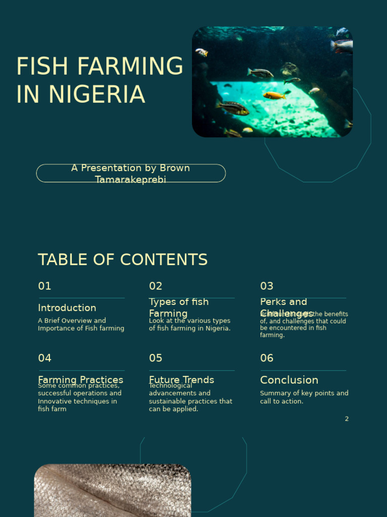 Fish Farming Practices in Nigeria | PDF | Aquaculture | Agriculture