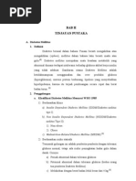 Download Diabetes Rosella by Nahdiyah Fahrina SN79958019 doc pdf