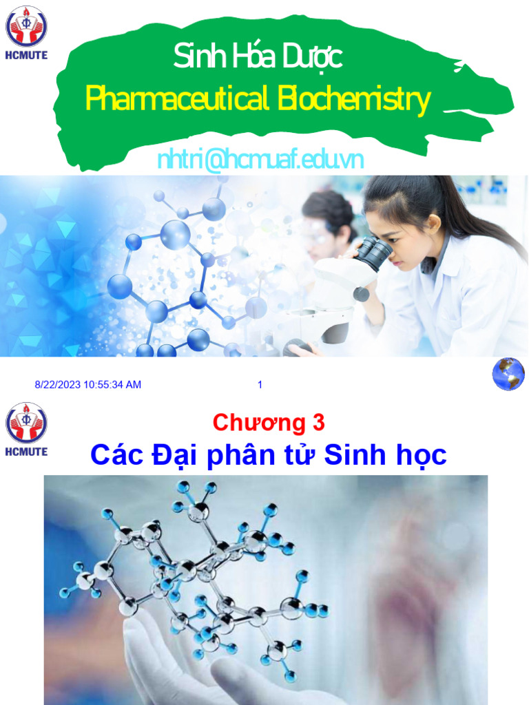 Chapter -3 Biomolecules | PDF