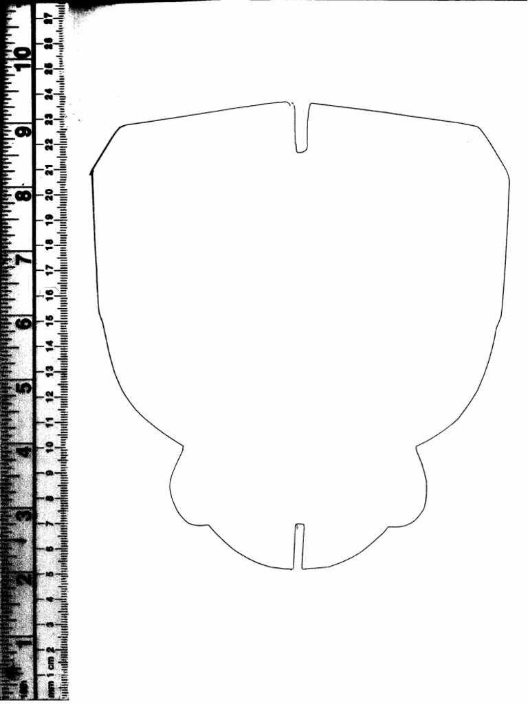 Men Faceshield | PDF