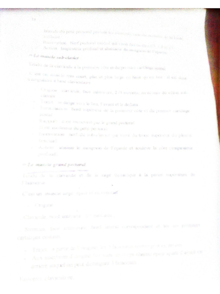 MMM | PDF