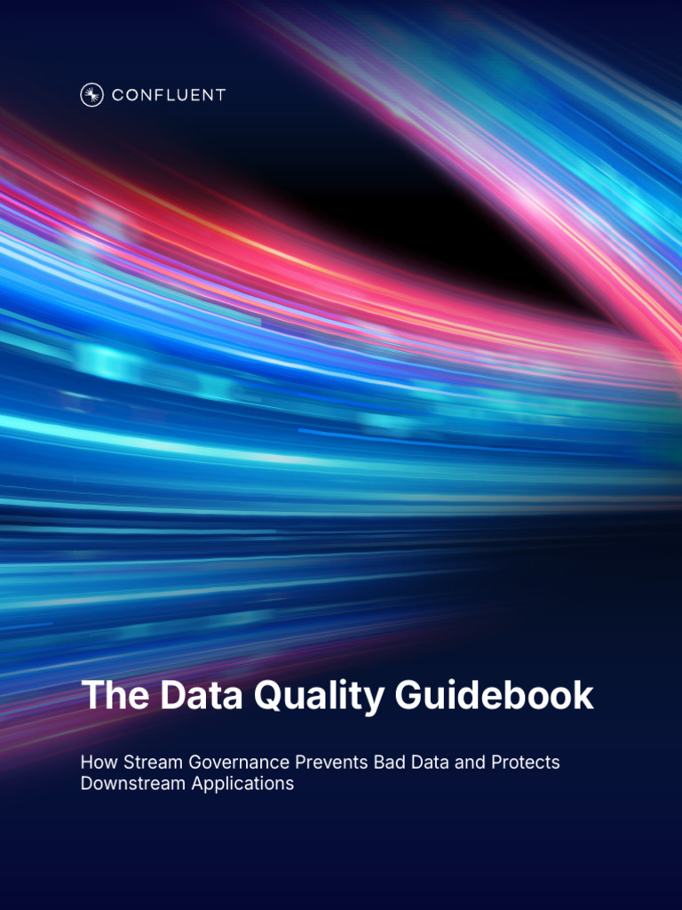 20241030-WP-Data Quality Guidebook | PDF | Metadata | Conceptual Model