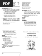 Mushuk pornosini onlayn tomosha qiling