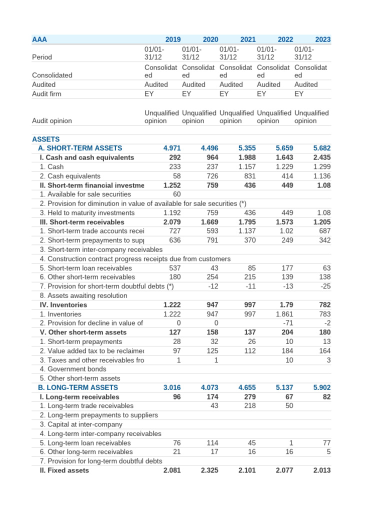 Consolidated Financial Audit Report 2019-2023 | PDF | Equity (Finance ...