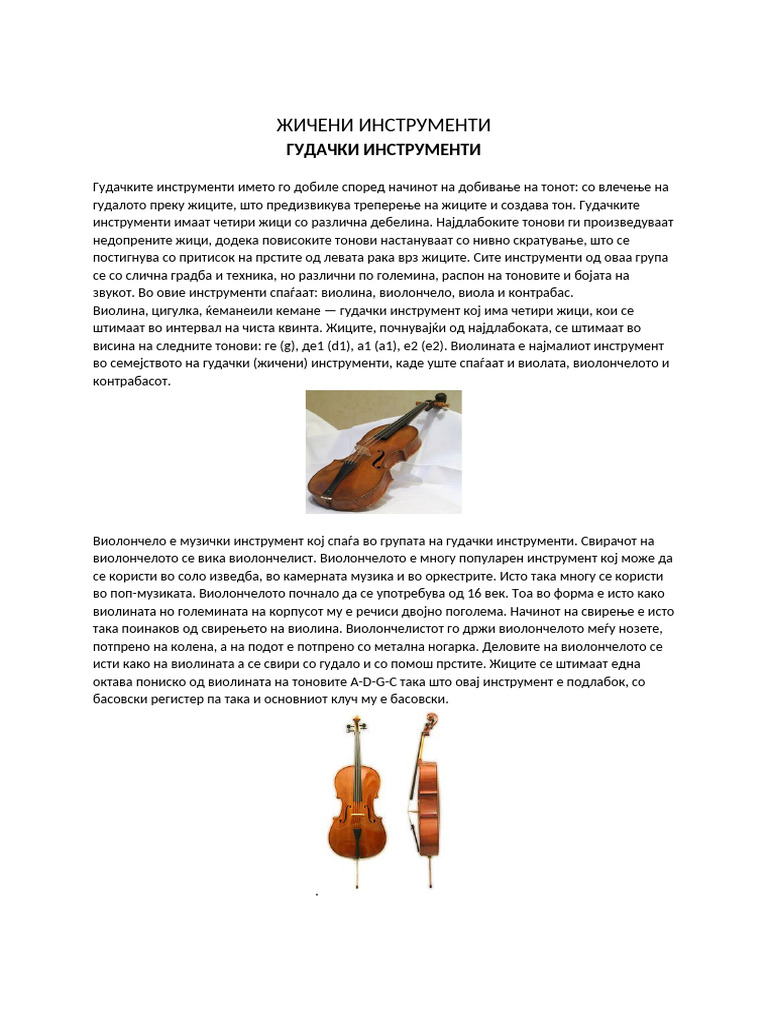 ЖИЧЕНИ ИНСТРУМЕНТИ | PDF