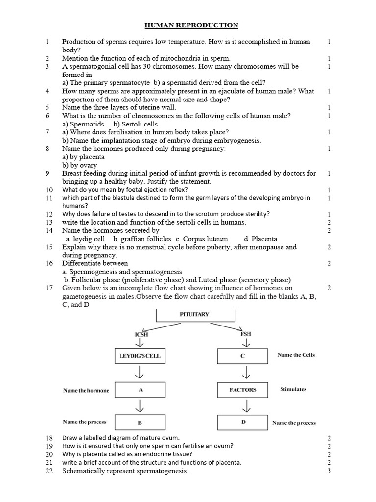 Human Reproduction Questionnaire | PDF | Menstrual Cycle | Female Mammals