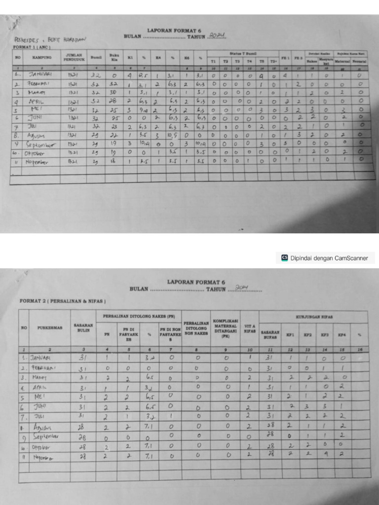 Form 6 Del Nov | PDF