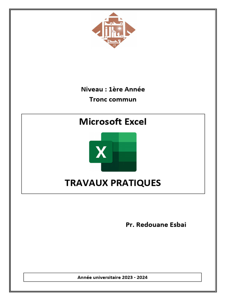 Travaux Pratiques sur Excel 2019 | PDF | Microsoft Excel | Feuille de ...