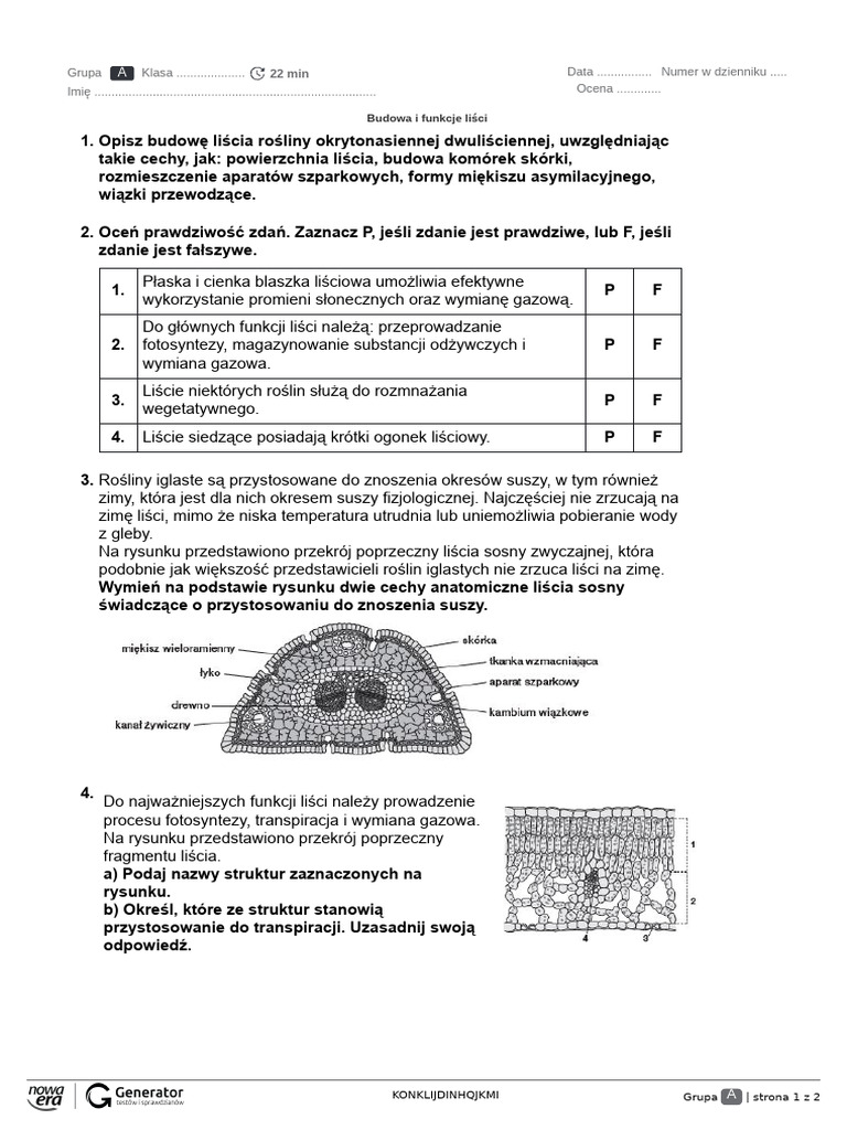 Budowa I Funkcje Skóry Test Budowa i funkcje liści Test – SPE | PDF