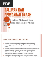 Saluran Dan Peredaran Darah