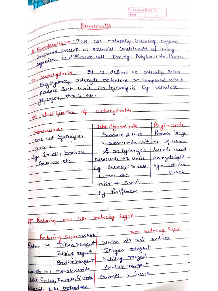 Carbohydrates Glucose Pdf