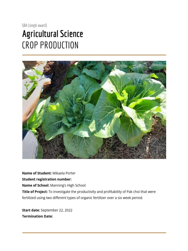 Pak Choi Growth: Goat vs. Chicken Manure | PDF | Agriculture ...