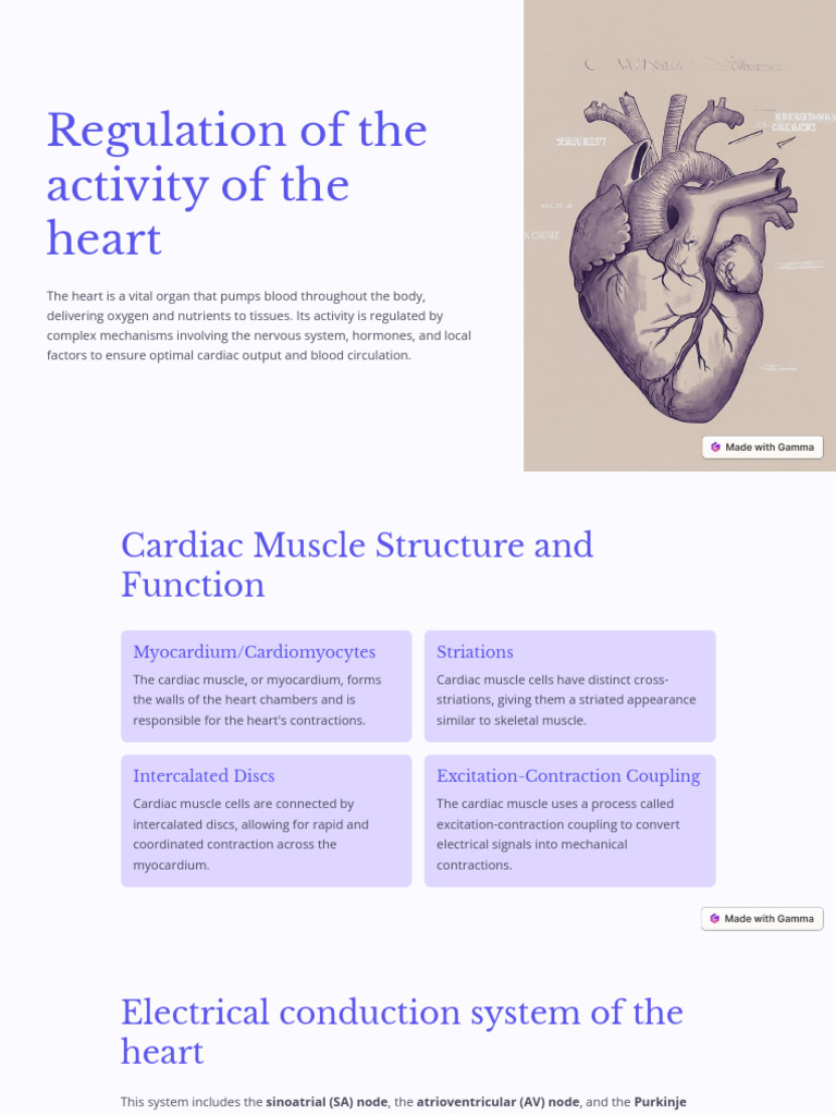 Heart Function and Regulation Explained | PDF | Heart | Cardiac Muscle