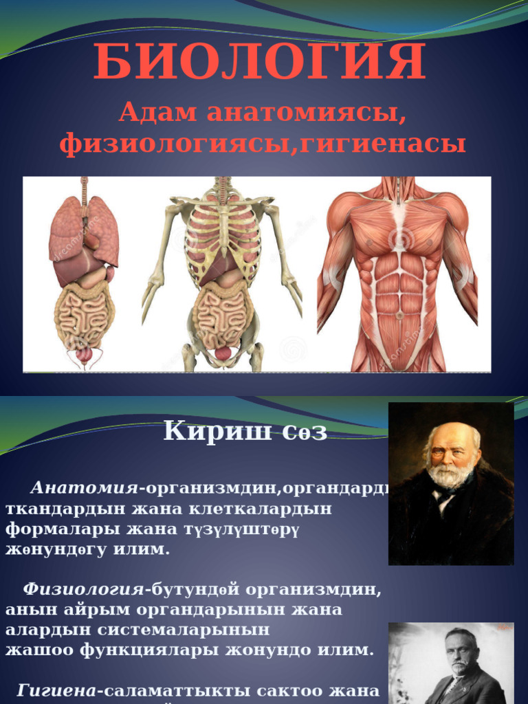 Орыс қыздарының алғашқы оргазмы туралы видео