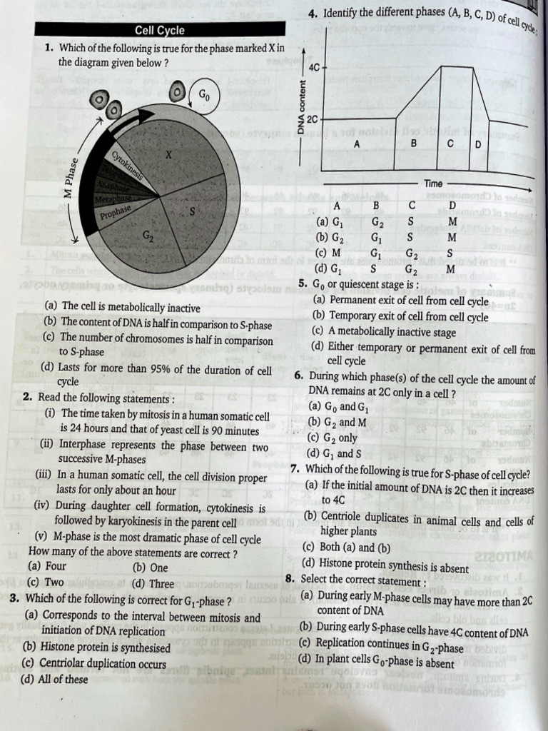 Cell Cycle and Cell Division Add Mcqs 1 | PDF