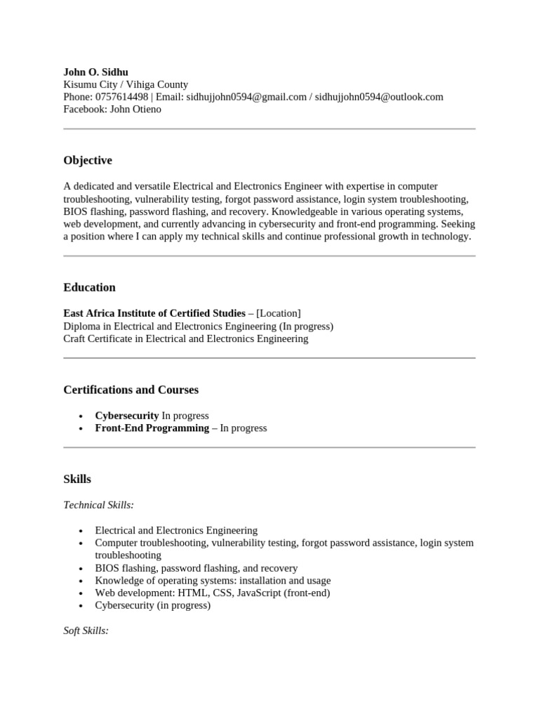 Electrical Engineer CV with IT Skills | PDF