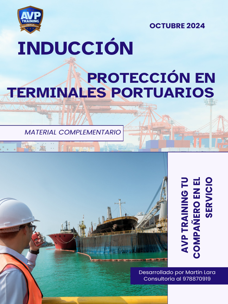 Induccion Protección Terminales Portuarios | PDF | La seguridad ...