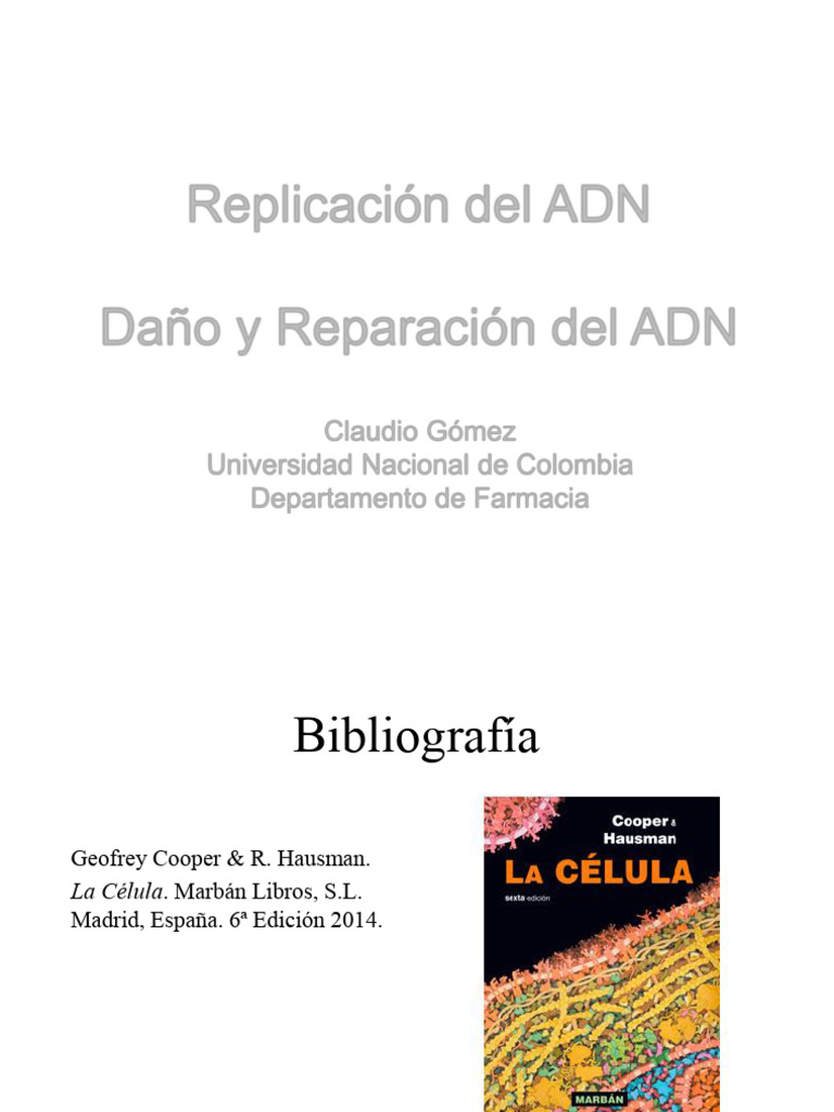 Replicación y Reparación del ADN | PDF | Adn | Replicación De Adn
