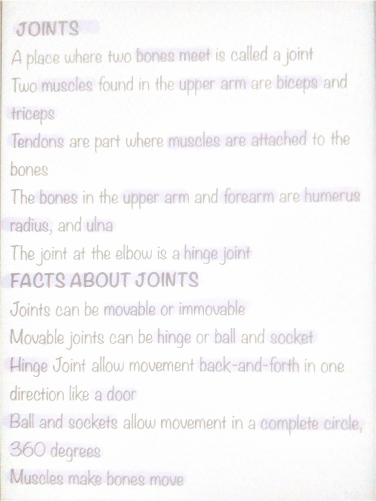 Joints | PDF
