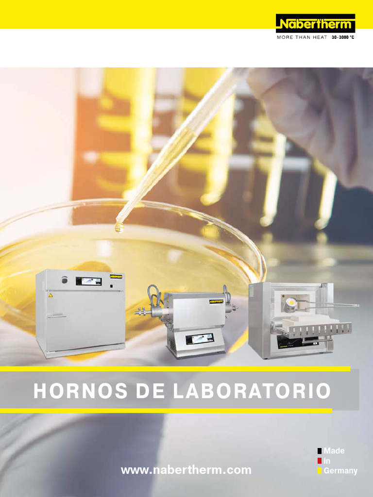Laboratory Spanish | PDF | Chimenea | Incineración