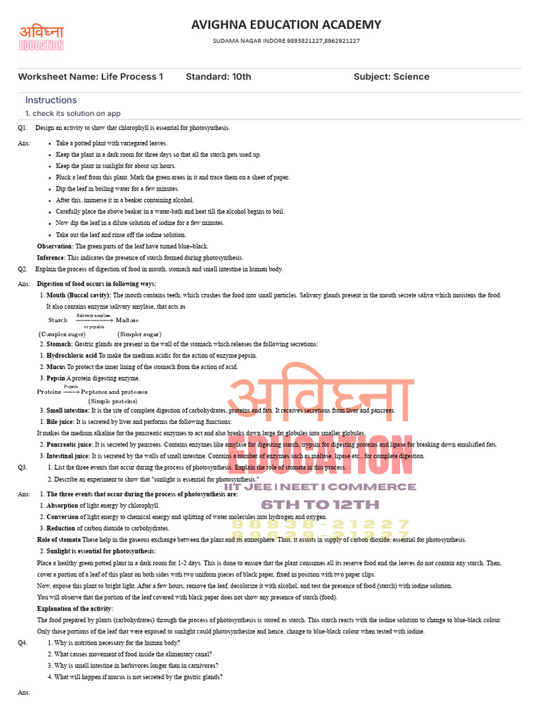 Life Process Worksheet 1 Solution | PDF | Digestion | Respiratory Tract
