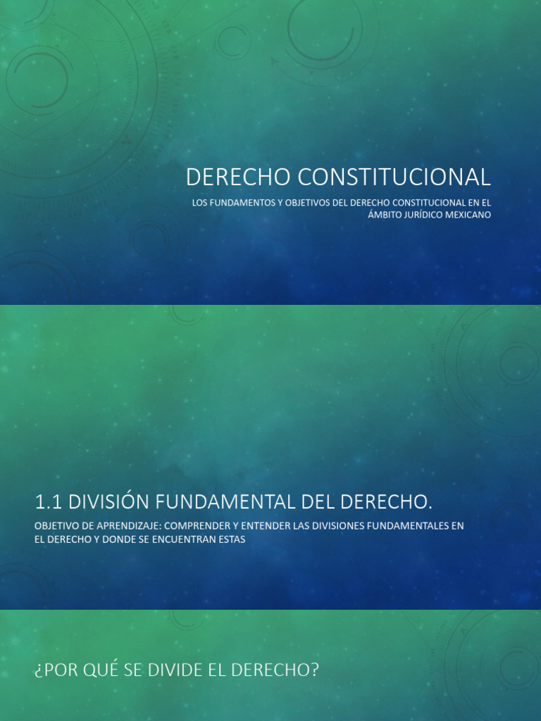 Derecho Constitucional (1.1-1.6) | PDF | Constitución | Caso de ley