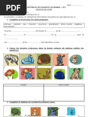 Eval Ce1 Vivant Non Vivant Pdf
