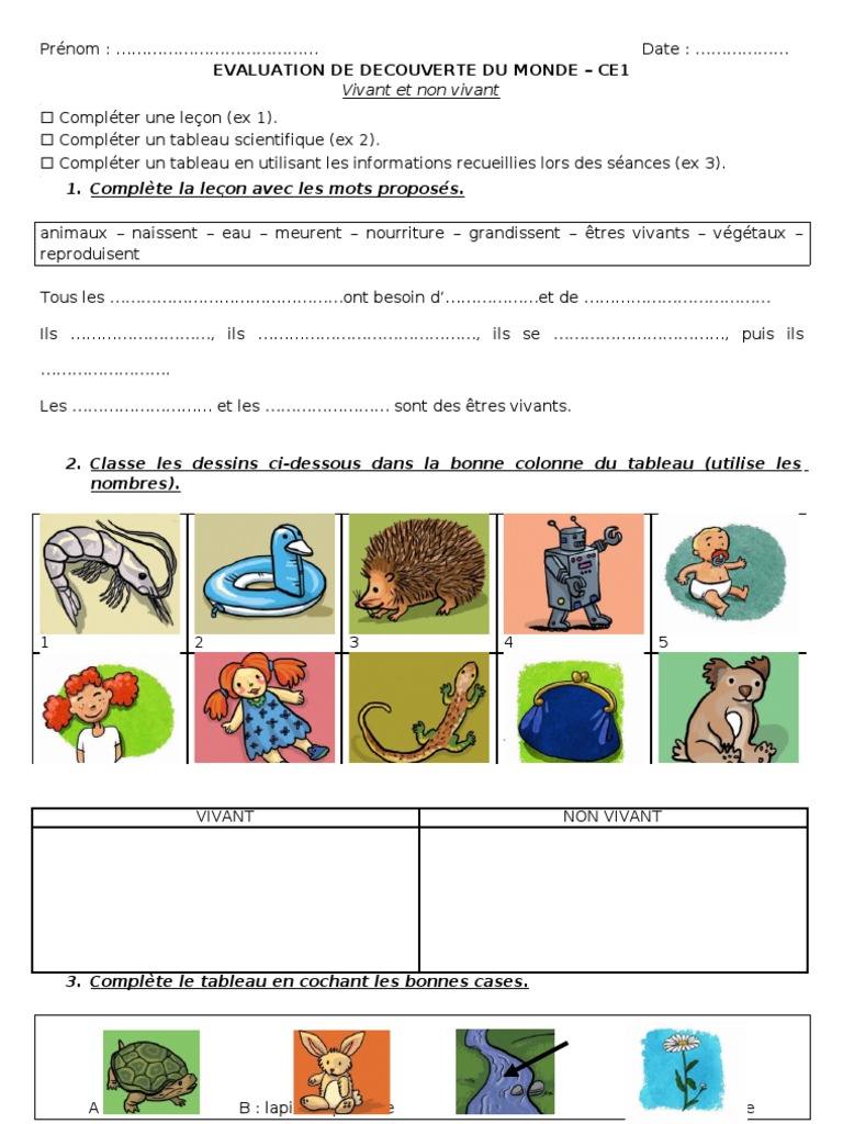 évaluation Vivant Non Vivant Ce2 Pdf EVAL - CE1 - Vivant Non Vivant