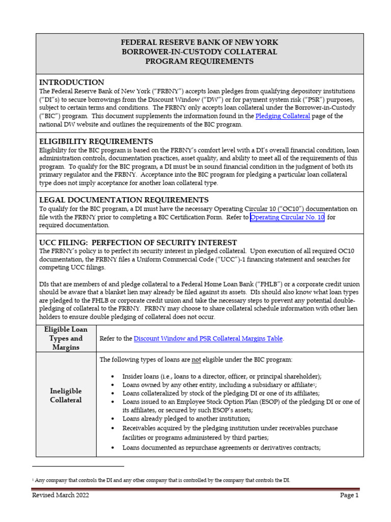 BIC Program Requirements for DIs | PDF | Loans | Credit