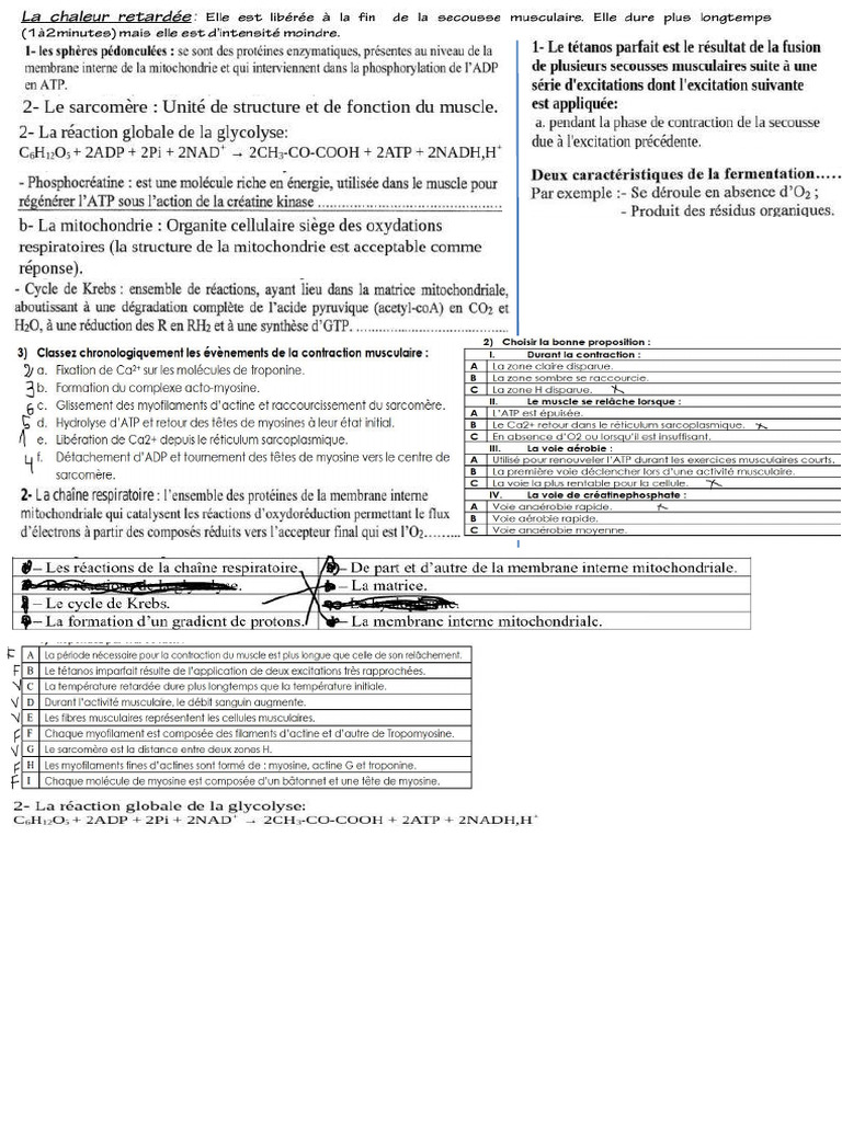QCM Atp | PDF