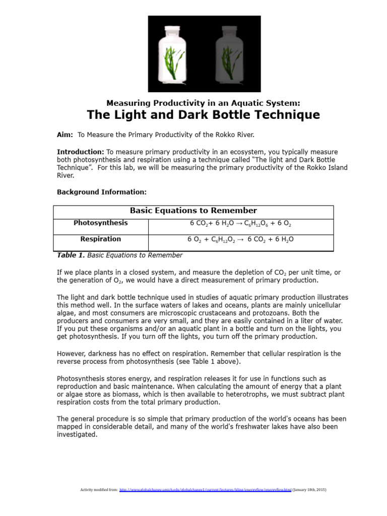 Light and Dark Bottle Method Overview | PDF | Primary Production ...