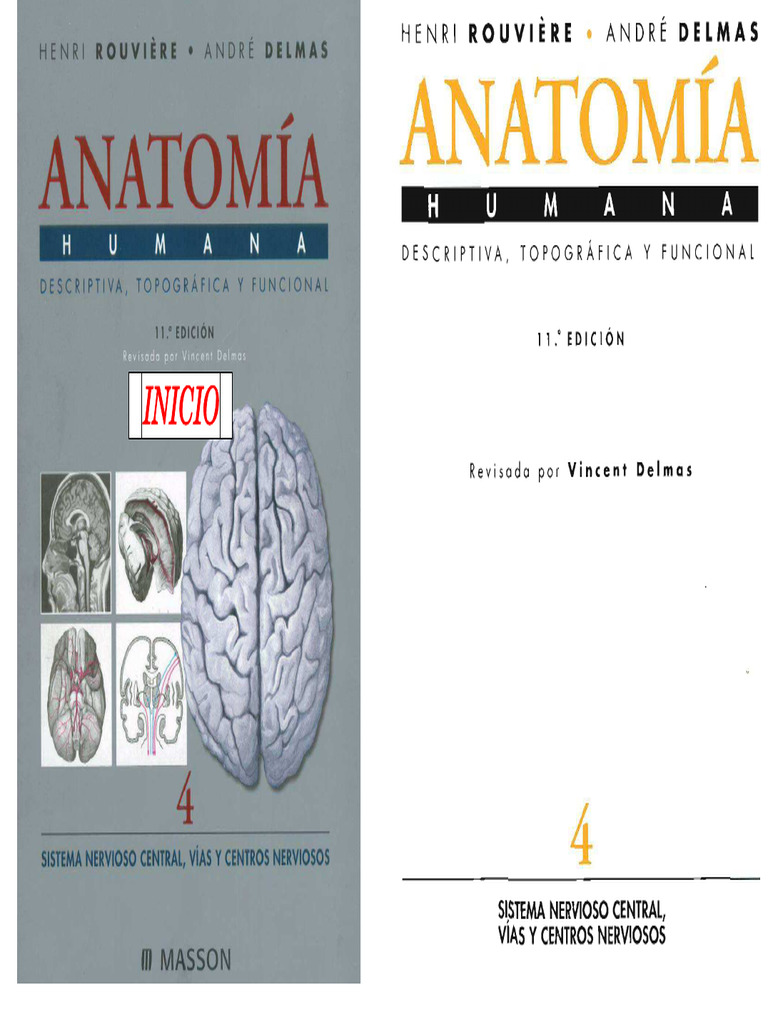 Rouviere - 4 SNC | PDF