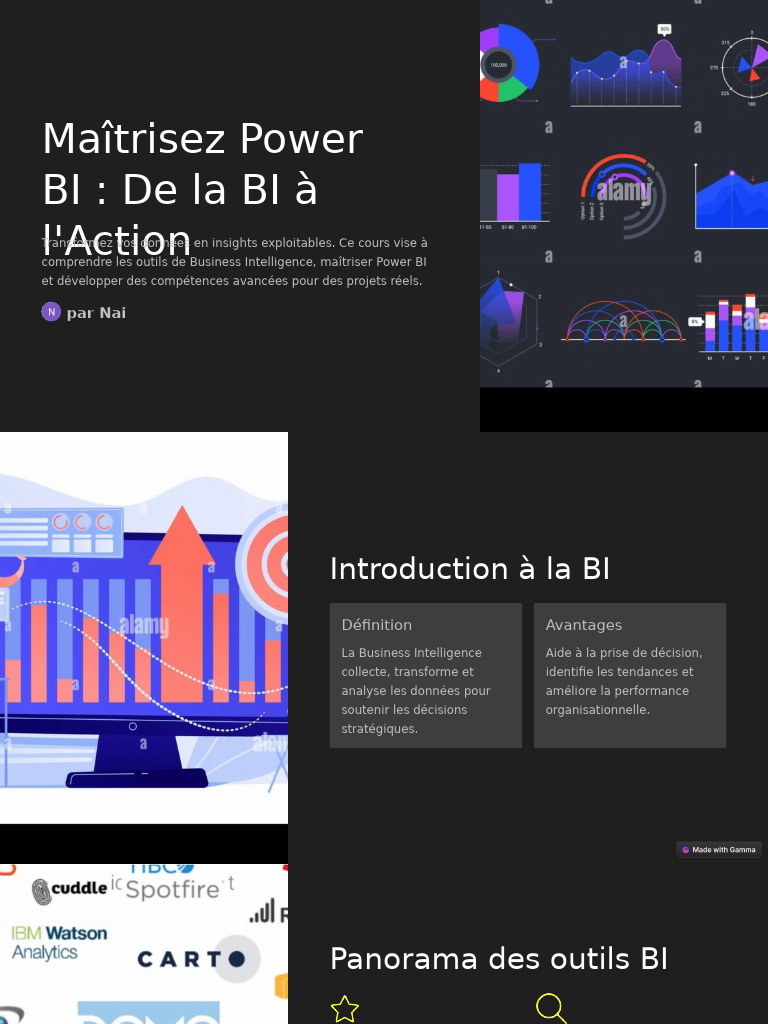 64 BI introductory 단락 5 이미지 3