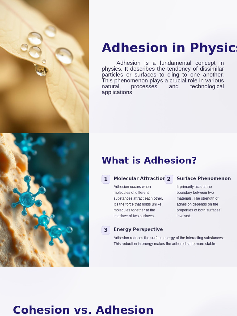 Understanding Adhesion in Physics | PDF | Adhesion | Adhesive